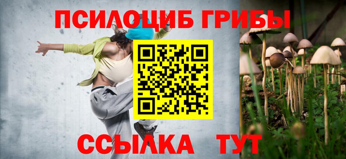 Волгодонск  Галлюциногенные грибы прущие грибы  Вход с VPN  как найти закладки  Галлюциногенные грибы Psilocybe 